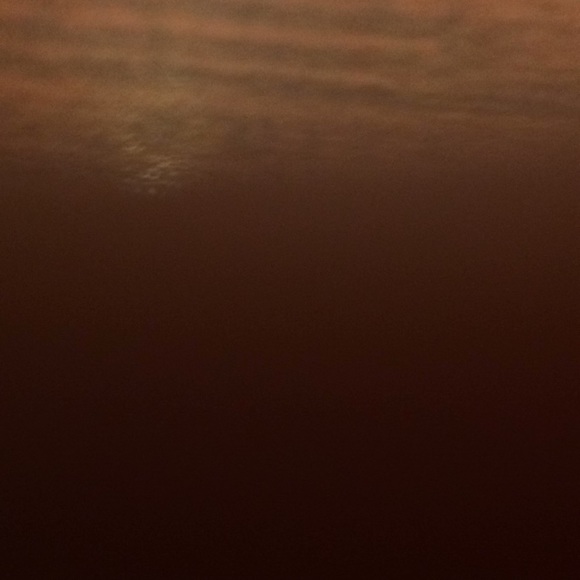 Meet your Posher, Cora - Picture 1 of 1